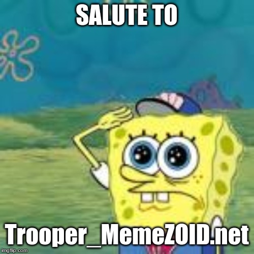 SALUTE TO; Trooper_MemeZOID.net | made w/ Imgflip meme maker