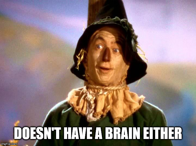 Wizard of Oz Scarecrow | DOESN'T HAVE A BRAIN EITHER | image tagged in wizard of oz scarecrow | made w/ Imgflip meme maker