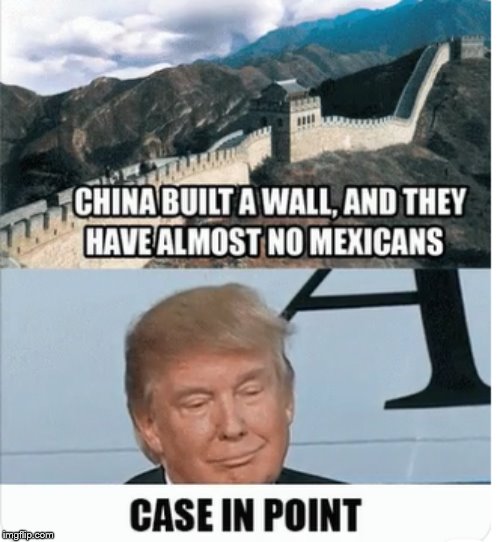 Trump logic | image tagged in trump logic | made w/ Imgflip meme maker