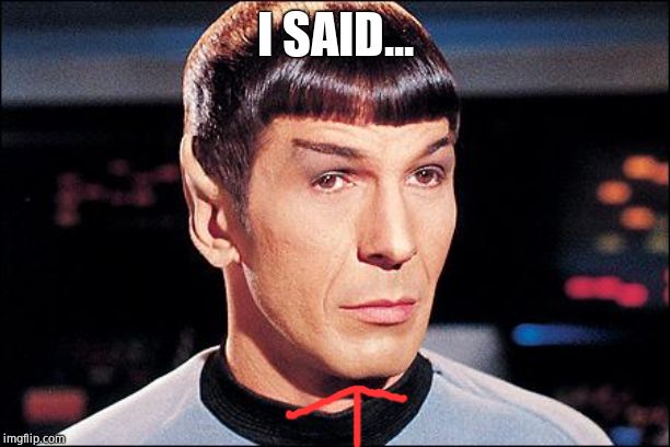 Condescending Spock | I SAID... | image tagged in condescending spock | made w/ Imgflip meme maker