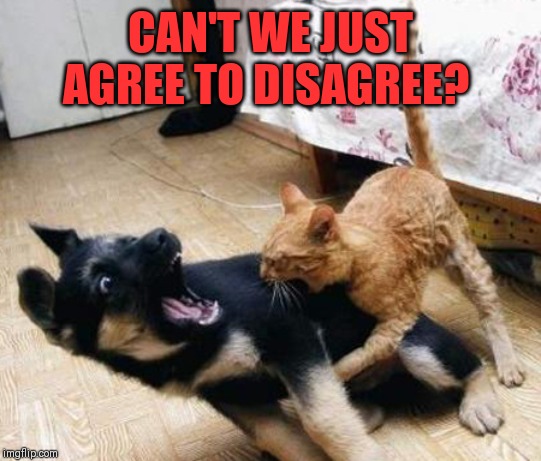 dog cat fight | CAN'T WE JUST AGREE TO DISAGREE? | image tagged in dog cat fight | made w/ Imgflip meme maker