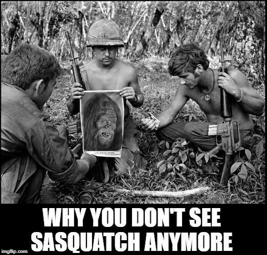 Saving Private Sasquatch | WHY YOU DON'T SEE    SASQUATCH ANYMORE | image tagged in vince vance,sasquatch,yeti,hunters,saving private ryan,wanted dead or alive | made w/ Imgflip meme maker
