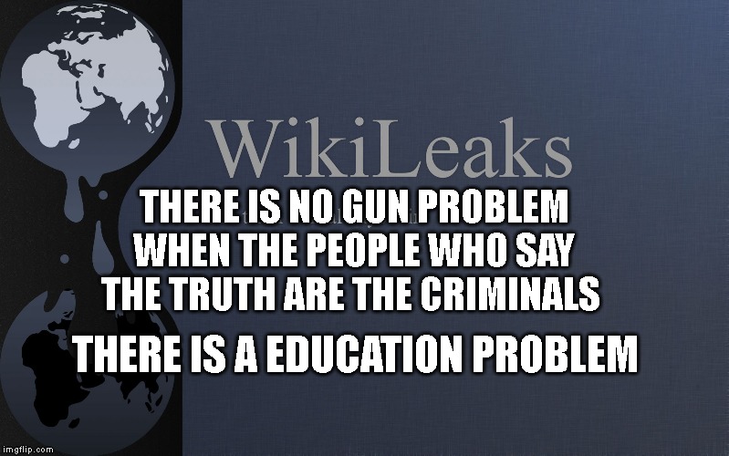 Hillary Clinton Wikileaks | THERE IS NO GUN PROBLEM WHEN THE PEOPLE WHO SAY THE TRUTH ARE THE CRIMINALS; THERE IS A EDUCATION PROBLEM | image tagged in hillary clinton wikileaks | made w/ Imgflip meme maker