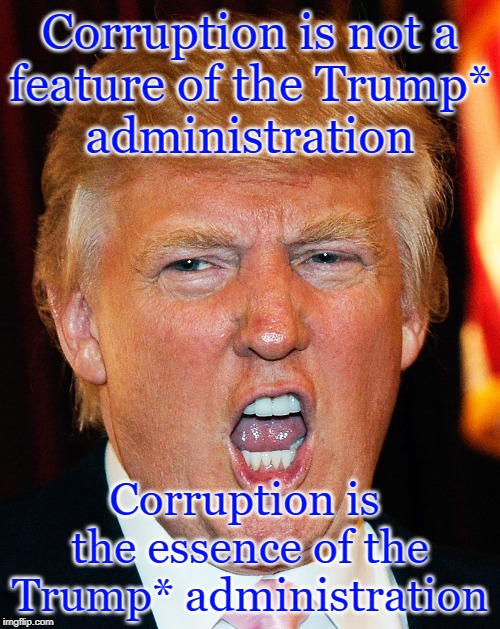 trump mouth open | Corruption is not a
feature of the Trump*
administration; Corruption is 
the essence of the
Trump* administration | image tagged in trump mouth open | made w/ Imgflip meme maker