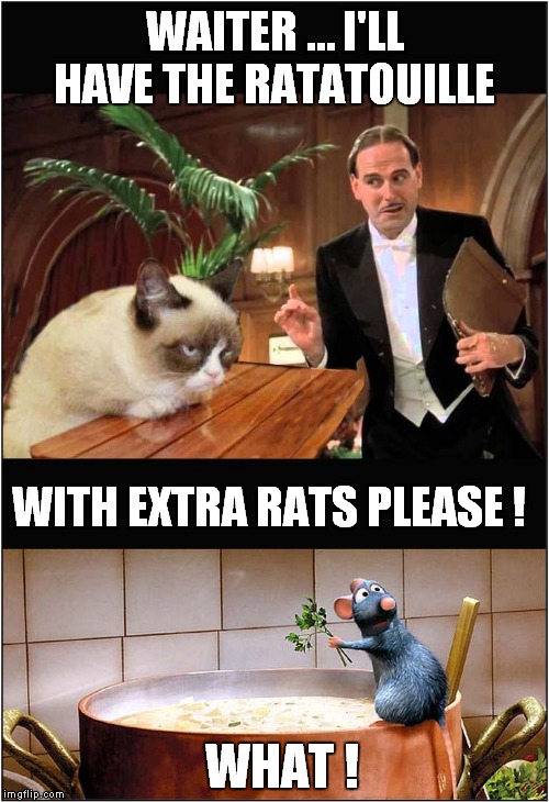Grumpys Ratatouille Desire ! | WAITER … I'LL HAVE THE RATATOUILLE; WITH EXTRA RATS PLEASE ! WHAT ! | image tagged in fun,grumpy cat,ratatouille | made w/ Imgflip meme maker