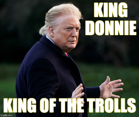 Trump orange face | KING DONNIE; KING OF THE TROLLS | image tagged in trump orange face | made w/ Imgflip meme maker