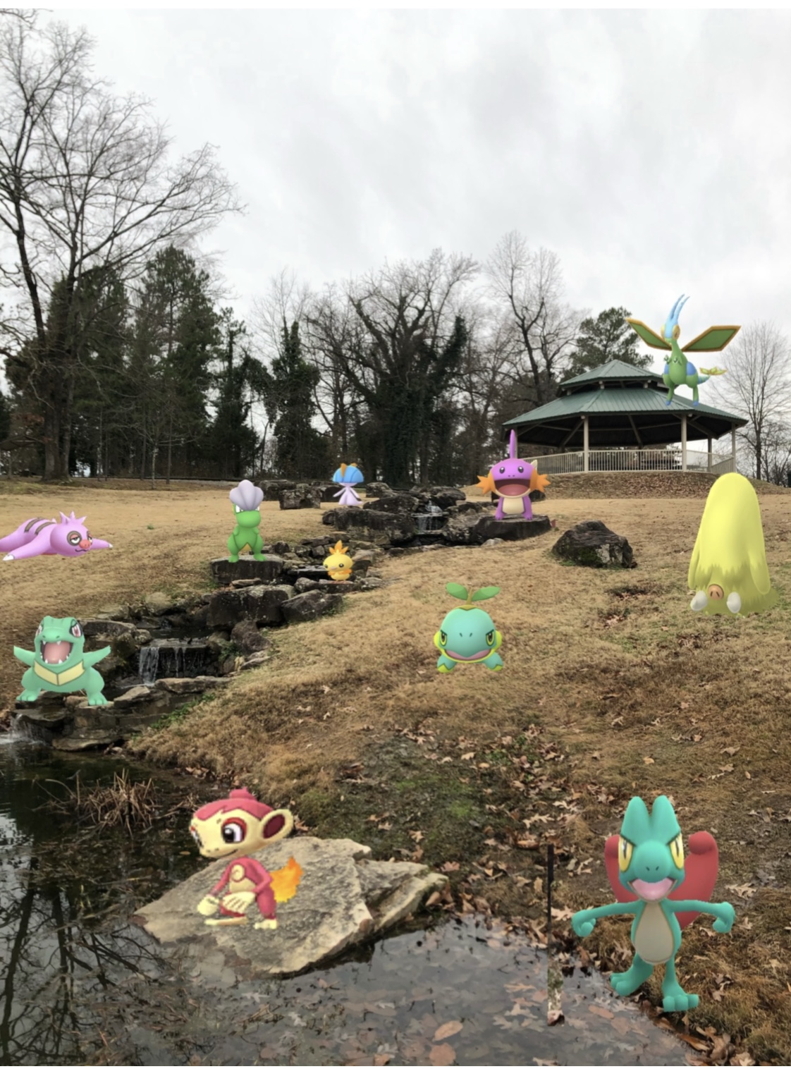 Entergy park Pokémon Blank Meme Template