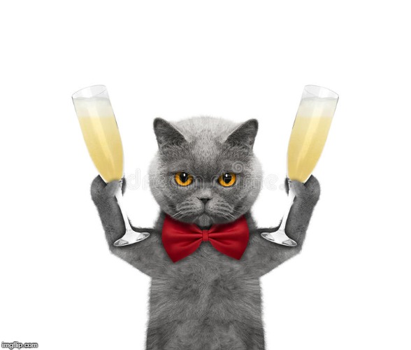 Cat Cheers | image tagged in cat cheers | made w/ Imgflip meme maker