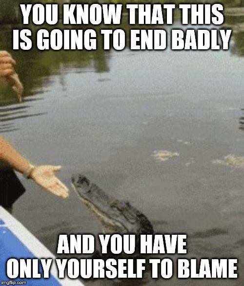 Will end badly | YOU KNOW THAT THIS IS GOING TO END BADLY; AND YOU HAVE ONLY YOURSELF TO BLAME | image tagged in alligator | made w/ Imgflip meme maker