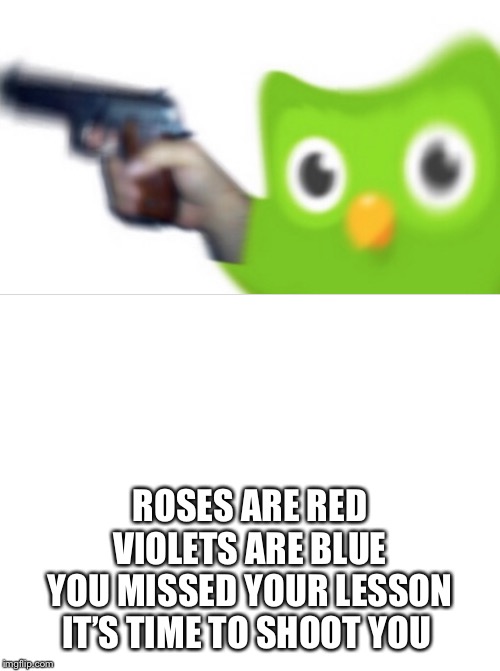 ROSES ARE RED
VIOLETS ARE BLUE
YOU MISSED YOUR LESSON
IT’S TIME TO SHOOT YOU | image tagged in blank white template | made w/ Imgflip meme maker