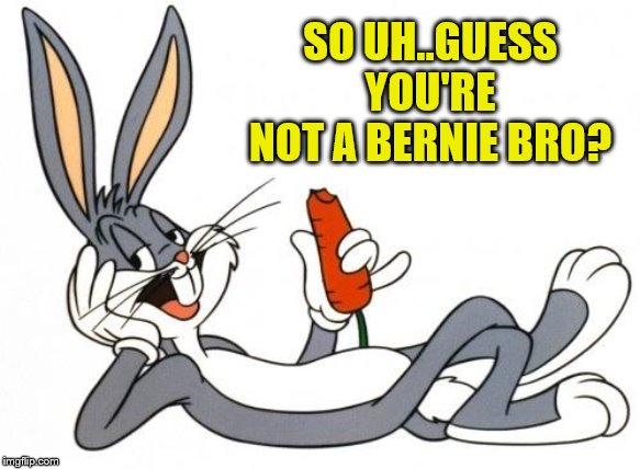 The adventure of bugs bunny | SO UH..GUESS YOU'RE NOT A BERNIE BRO? | image tagged in the adventure of bugs bunny | made w/ Imgflip meme maker