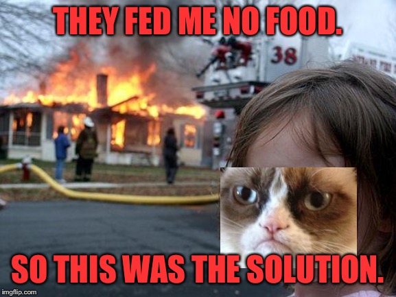 Cat Meme #2 | THEY FED ME NO FOOD. SO THIS WAS THE SOLUTION. | image tagged in memes,disaster girl | made w/ Imgflip meme maker