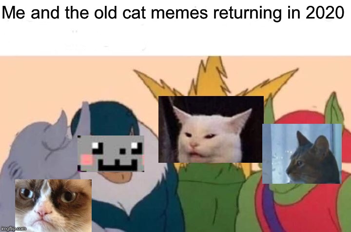 Cat Meme Reunion | Cat Meme #3 | Me and the old cat memes returning in 2020 | image tagged in memes,me and the boys | made w/ Imgflip meme maker