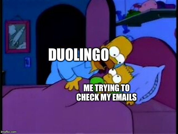 Homer Simpson I don't mean to alarm you | DUOLINGO; ME TRYING TO CHECK MY EMAILS | image tagged in homer simpson i don't mean to alarm you | made w/ Imgflip meme maker