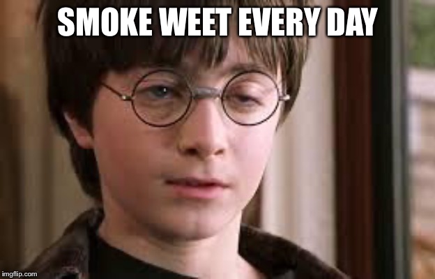 Harry Potter Stoned | SMOKE WEET EVERY DAY | image tagged in harry potter stoned | made w/ Imgflip meme maker
