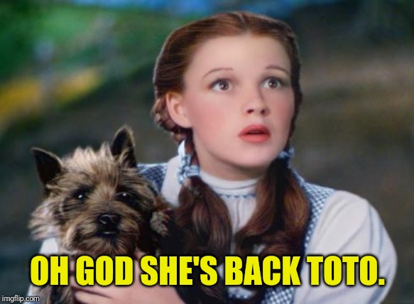Toto Wizard of Oz | OH GOD SHE'S BACK TOTO. | image tagged in toto wizard of oz | made w/ Imgflip meme maker