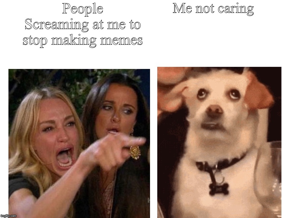 Women screaming at dog who doesn’t give a flip | People Screaming at me to stop making memes; Me not caring | image tagged in dog,two women yelling at a cat | made w/ Imgflip meme maker