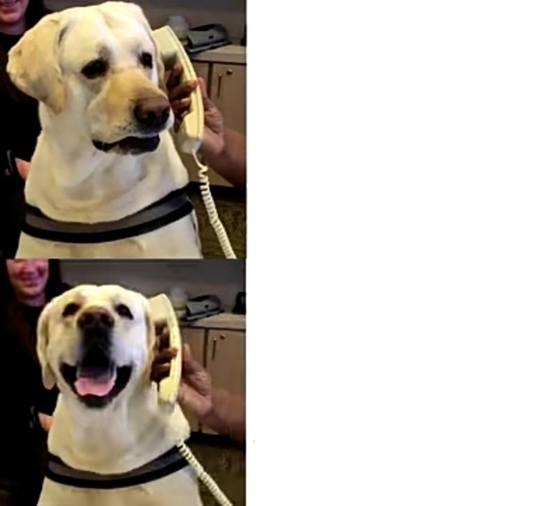 Drake the dog Blank Meme Template