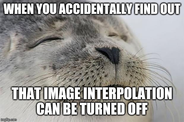 Satisfied Seal Meme | WHEN YOU ACCIDENTALLY FIND OUT; THAT IMAGE INTERPOLATION CAN BE TURNED OFF | image tagged in memes,satisfied seal | made w/ Imgflip meme maker