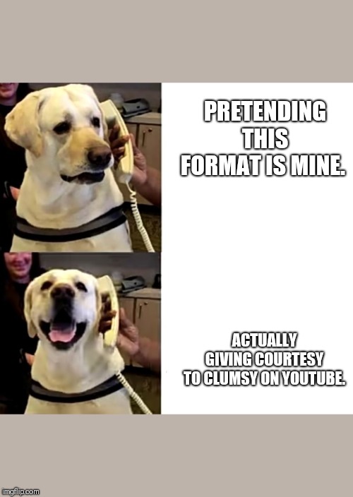 Drake the dog | PRETENDING THIS FORMAT IS MINE. ACTUALLY GIVING COURTESY TO CLUMSY ON YOUTUBE. | image tagged in drake the dog | made w/ Imgflip meme maker