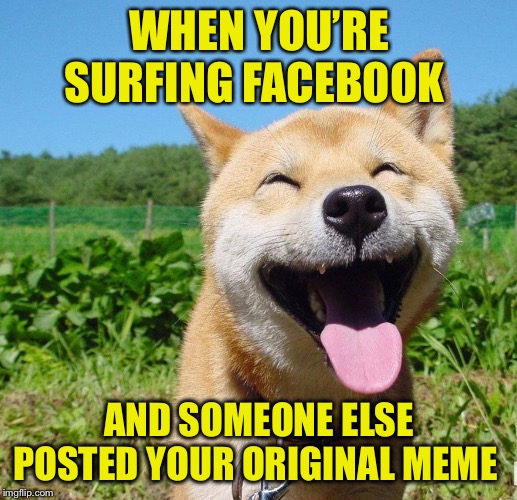 Happy Dog | WHEN YOU’RE SURFING FACEBOOK AND SOMEONE ELSE POSTED YOUR ORIGINAL MEME | image tagged in happy dog | made w/ Imgflip meme maker