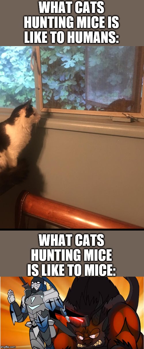 WHAT CATS HUNTING MICE IS LIKE TO HUMANS:; WHAT CATS HUNTING MICE IS LIKE TO MICE: | image tagged in cat and mouse | made w/ Imgflip meme maker