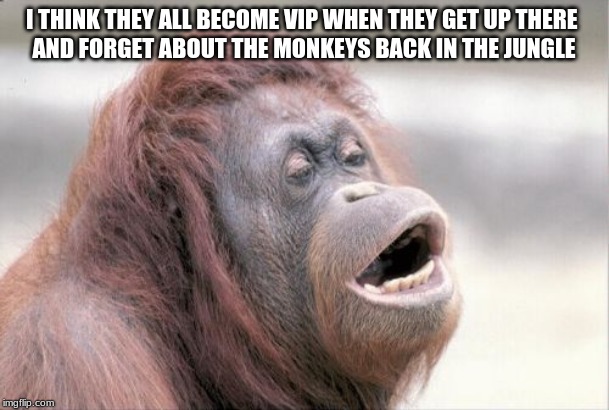 Monkey OOH Meme | I THINK THEY ALL BECOME VIP WHEN THEY GET UP THERE 
AND FORGET ABOUT THE MONKEYS BACK IN THE JUNGLE | image tagged in memes,monkey ooh | made w/ Imgflip meme maker