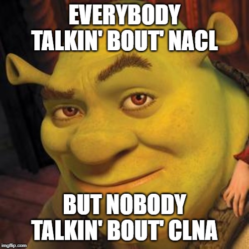 Shrek Sexy Face | EVERYBODY TALKIN' BOUT' NACL; BUT NOBODY TALKIN' BOUT' CLNA | image tagged in shrek sexy face | made w/ Imgflip meme maker