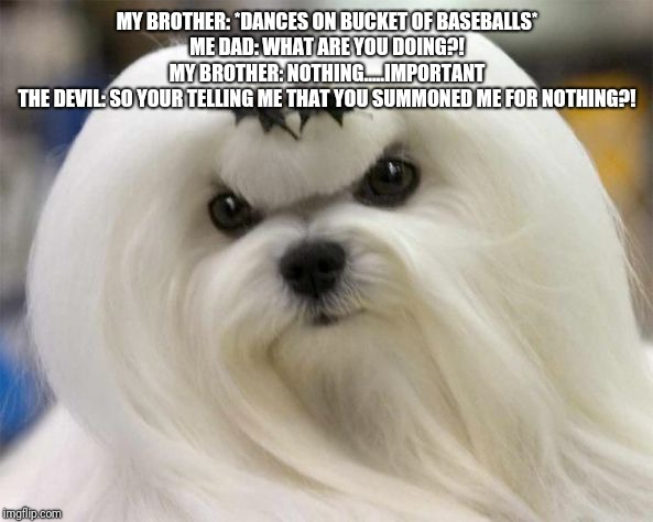 what did you call me? | MY BROTHER: *DANCES ON BUCKET OF BASEBALLS*
ME DAD: WHAT ARE YOU DOING?!
MY BROTHER: NOTHING.....IMPORTANT
THE DEVIL: SO YOUR TELLING ME THAT YOU SUMMONED ME FOR NOTHING?! | image tagged in what did you call me | made w/ Imgflip meme maker
