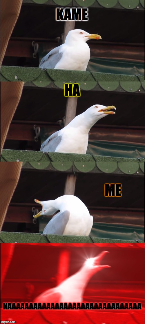 Inhaling Seagull | KAME; HA; ME; NAAAAAAAAAAAAAAAAAAAAAAAAAAAAAAA | image tagged in memes,inhaling seagull | made w/ Imgflip meme maker