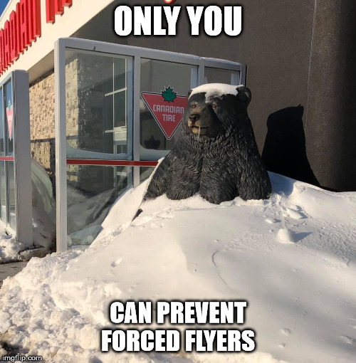 ONLY YOU; CAN PREVENT FORCED FLYERS | image tagged in bear,forced,flyers,canadian,tire | made w/ Imgflip meme maker