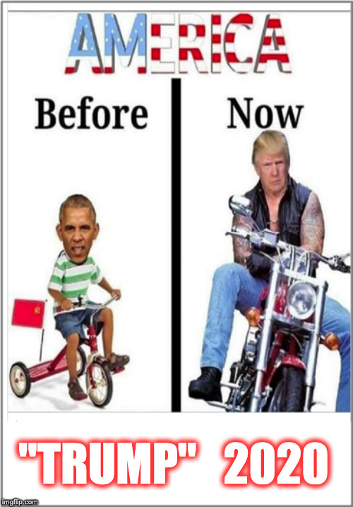 Trump | "TRUMP"   2020 | image tagged in trump,make america great again,maga,trump 2020,2020 elections | made w/ Imgflip meme maker