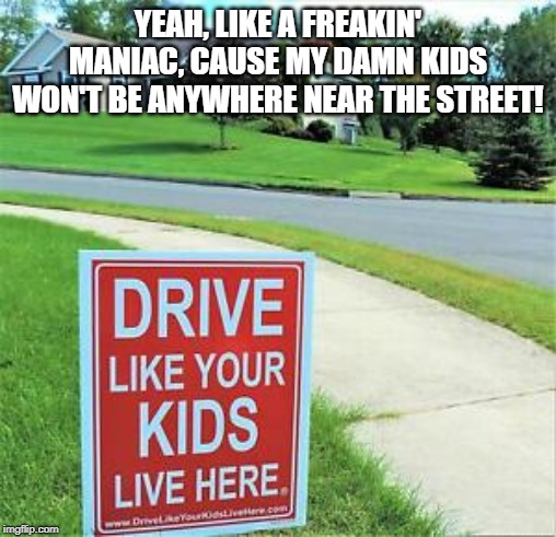 Don't You Hate These Signs? | YEAH, LIKE A FREAKIN' MANIAC, CAUSE MY DAMN KIDS WON'T BE ANYWHERE NEAR THE STREET! | image tagged in stupid signs | made w/ Imgflip meme maker