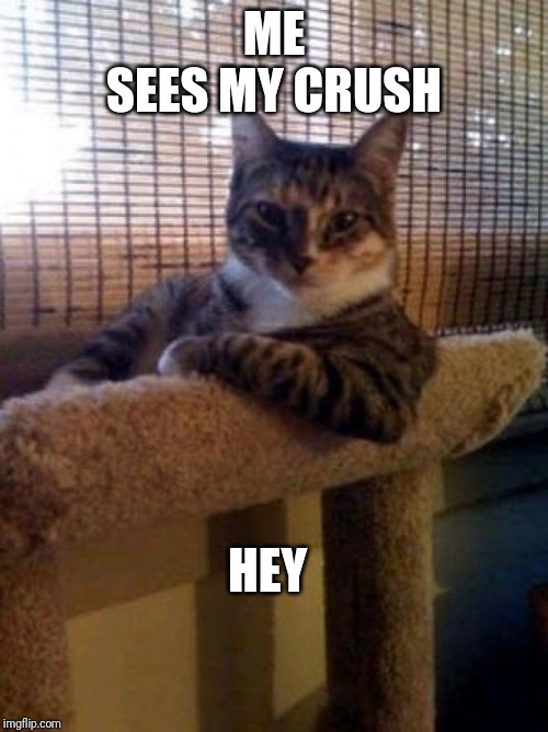 The Most Interesting Cat In The World | ME

SEES MY CRUSH; HEY | image tagged in memes,the most interesting cat in the world | made w/ Imgflip meme maker