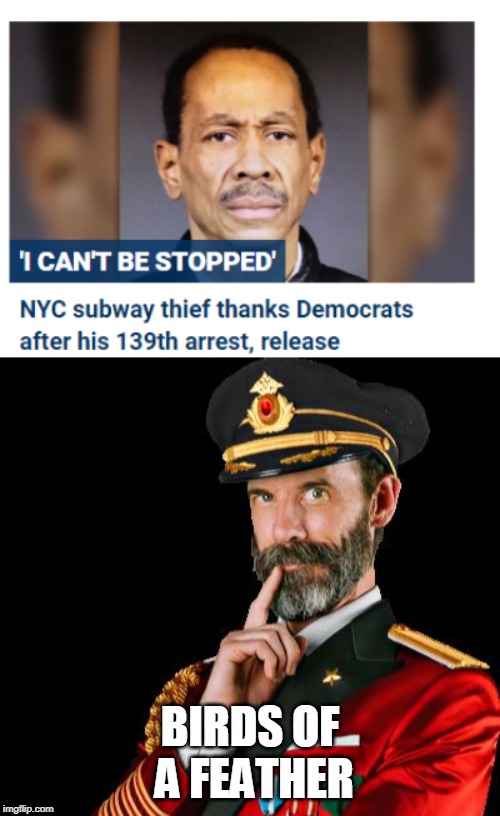 6 arrests this yr so far, they both have their hands in your pockets | BIRDS OF  A FEATHER | image tagged in captain obvious,politics | made w/ Imgflip meme maker