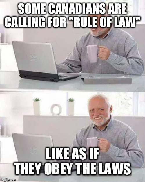 Hide the Pain Harold Meme | SOME CANADIANS ARE CALLING FOR "RULE OF LAW"; LIKE AS IF THEY OBEY THE LAWS | image tagged in memes,hide the pain harold | made w/ Imgflip meme maker