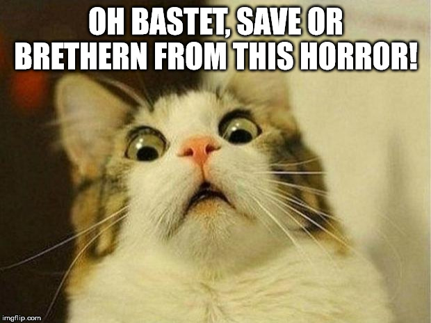 Scared Cat Meme | OH BASTET, SAVE OR BRETHERN FROM THIS HORROR! | image tagged in memes,scared cat | made w/ Imgflip meme maker