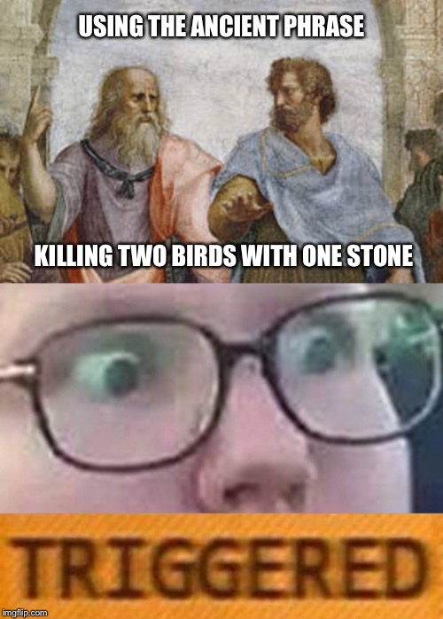 PETA Personified | USING THE ANCIENT PHRASE; KILLING TWO BIRDS WITH ONE STONE | image tagged in peta,animal rights,triggered,super_triggered | made w/ Imgflip meme maker