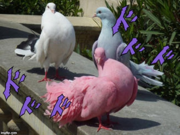 AWAKEN MY PIGEONS! | image tagged in jojo's bizarre adventure,pigeons | made w/ Imgflip meme maker