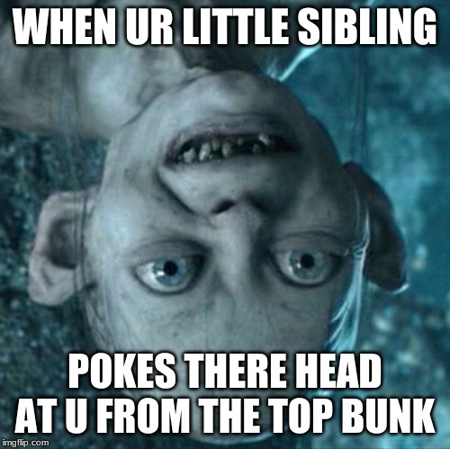 Gollum Meme | WHEN UR LITTLE SIBLING; POKES THERE HEAD AT U FROM THE TOP BUNK | image tagged in memes,gollum | made w/ Imgflip meme maker