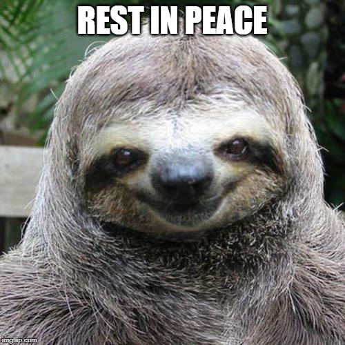 Rape Sloth  | REST IN PEACE | image tagged in rape sloth | made w/ Imgflip meme maker