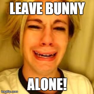 LEAVE BUNNY ALONE! | made w/ Imgflip meme maker