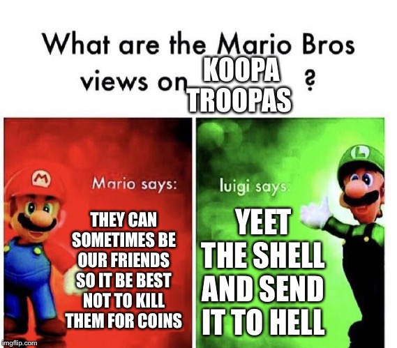 Mario Bros Views | KOOPA TROOPAS; THEY CAN SOMETIMES BE OUR FRIENDS SO IT BE BEST NOT TO KILL THEM FOR COINS; YEET THE SHELL AND SEND IT TO HELL | image tagged in mario bros views | made w/ Imgflip meme maker