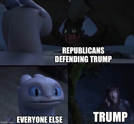 How to train your dragon 3 | REPUBLICANS DEFENDING TRUMP; EVERYONE ELSE; TRUMP | image tagged in how to train your dragon 3 | made w/ Imgflip meme maker