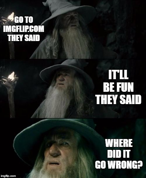 I feel it went down hill when they started to add all these category's. I still post but, nothing like I used to. | GO TO IMGFLIP.COM THEY SAID; IT'LL BE FUN THEY SAID; WHERE DID IT GO WRONG? | image tagged in memes,confused gandalf | made w/ Imgflip meme maker