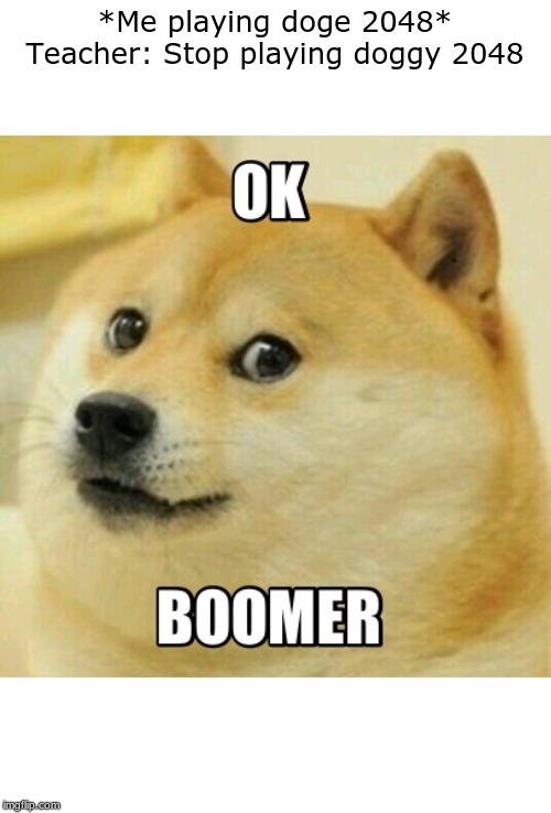 Ok boomer | *Me playing doge 2048*
Teacher: Stop playing doggy 2048 | image tagged in ok boomer | made w/ Imgflip meme maker