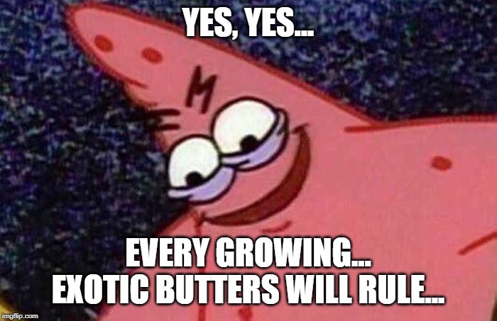 Evil Patrick  | YES, YES... EVERY GROWING... EXOTIC BUTTERS WILL RULE... | image tagged in evil patrick | made w/ Imgflip meme maker