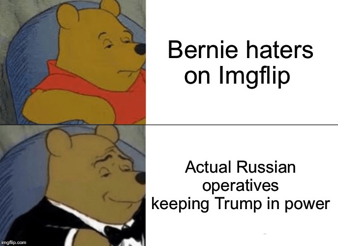 Tuxedo Winnie The Pooh | Bernie haters on Imgflip; Actual Russian operatives keeping Trump in power | image tagged in memes,tuxedo winnie the pooh | made w/ Imgflip meme maker