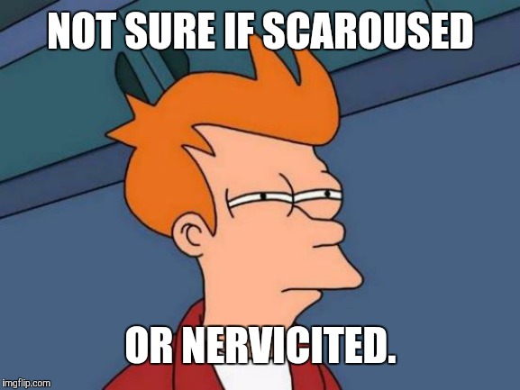 Futurama Fry | NOT SURE IF SCAROUSED; OR NERVICITED. | image tagged in memes,futurama fry | made w/ Imgflip meme maker