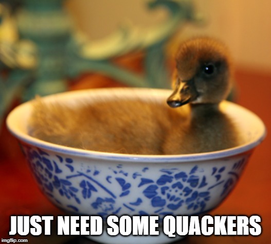 Duck Soup | JUST NEED SOME QUACKERS | image tagged in ducks | made w/ Imgflip meme maker